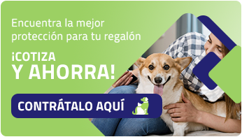 Mas asegurados